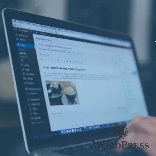 Why Hire a WordPress Development Company